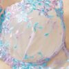 Embroidered-Lingerie